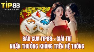 Bầu Cua TIP88 - Giải Trí Nhận Thưởng Khủng Trên Hệ Thống