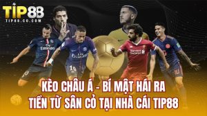 Kèo Châu Á - Bí Mật Hái Ra Tiền Từ Sân Cỏ Tại Nhà Cái TIP88