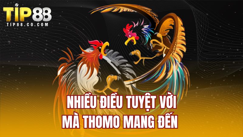 Nhiều điều tuyệt vời mà Thomo mang đến 