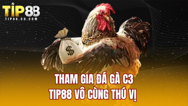 Tham gia đá gà C3 TIP88 vô cùng thú vị 