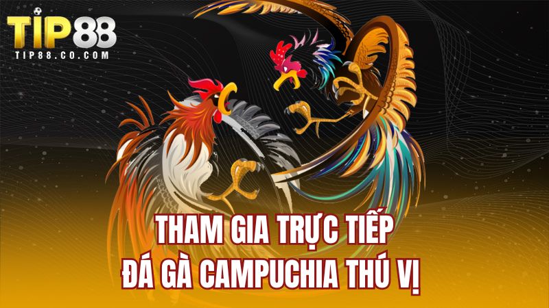 Tham gia trực tiếp đá gà Campuchia thú vị 