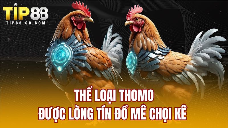 Thể loại Thomo được lòng tín đồ mê chọi kê 